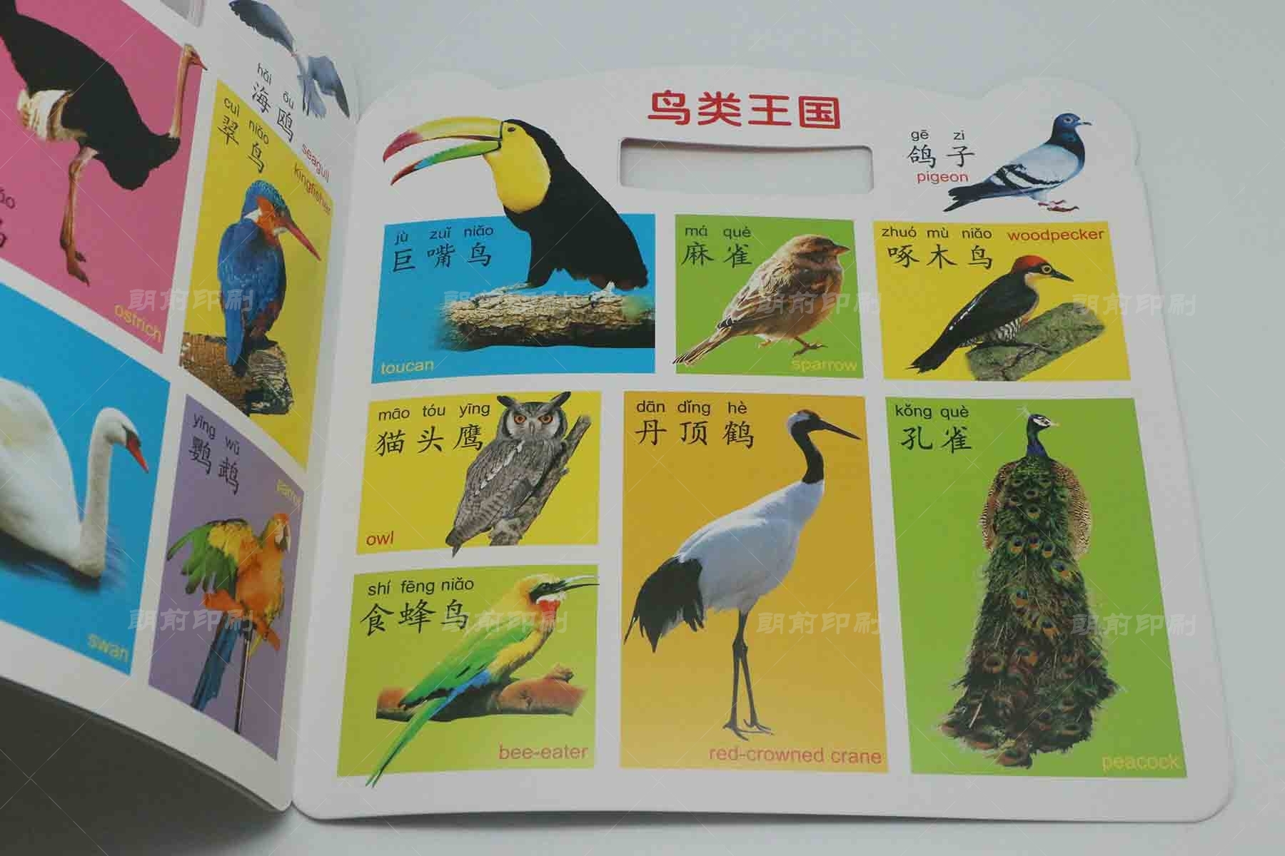 廣州自動化畫冊設計印刷 廣州產品畫冊的印刷材質